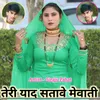 About Teri yaad Satave Mewati Song